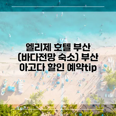 엘리제 호텔 부산 (바다전망 숙소) 부산 아고다 할인 예약tip