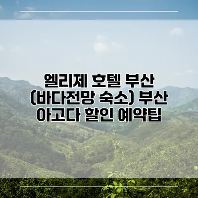 엘리제 호텔 부산 (바다전망 숙소) 부산 아고다 할인 예약팁