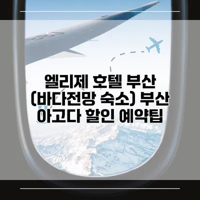 엘리제 호텔 부산 (바다전망 숙소) 부산 아고다 할인 예약팁