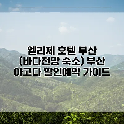 엘리제 호텔 부산 (바다전망 숙소) 부산 아고다 할인예약 가이드
