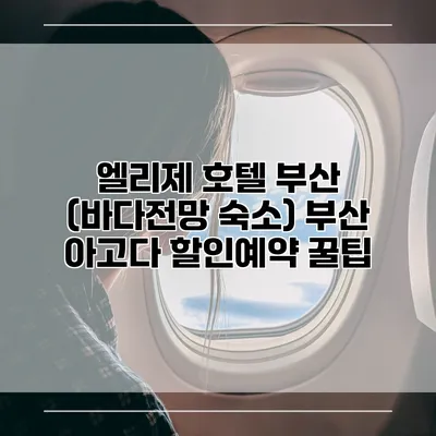 엘리제 호텔 부산 (바다전망 숙소) 부산 아고다 할인예약 꿀팁
