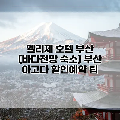 엘리제 호텔 부산 (바다전망 숙소) 부산 아고다 할인예약 팁