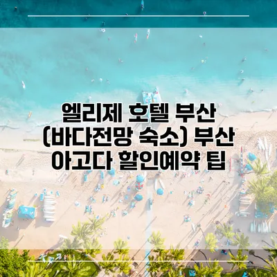 엘리제 호텔 부산 (바다전망 숙소) 부산 아고다 할인예약 팁