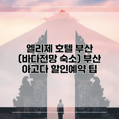 엘리제 호텔 부산 (바다전망 숙소) 부산 아고다 할인예약 팁