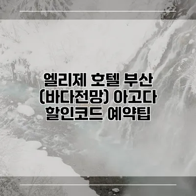엘리제 호텔 부산 (바다전망) 아고다 할인코드 예약팁