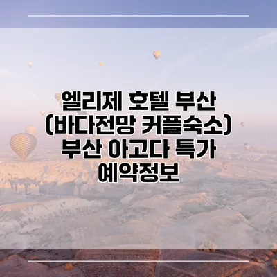 엘리제 호텔 부산 (바다전망 커플숙소) 부산 아고다 특가 예약정보