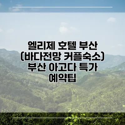 엘리제 호텔 부산 (바다전망 커플숙소) 부산 아고다 특가 예약팁