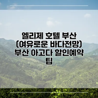 엘리제 호텔 부산 (여유로운 바다전망) 부산 아고다 할인예약 팁