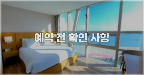 예약 전 확인 사항