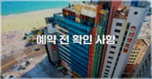 예약 전 확인 사항