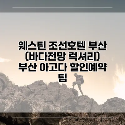 웨스틴 조선호텔 부산 (바다전망 럭셔리) 부산 아고다 할인예약 팁