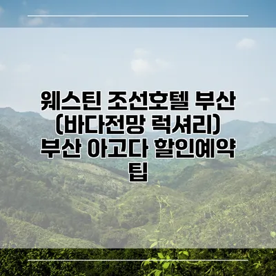 웨스틴 조선호텔 부산 (바다전망 럭셔리) 부산 아고다 할인예약 팁
