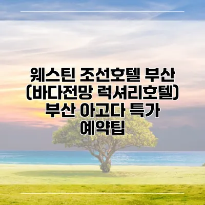 웨스틴 조선호텔 부산 (바다전망 럭셔리호텔) 부산 아고다 특가 예약팁