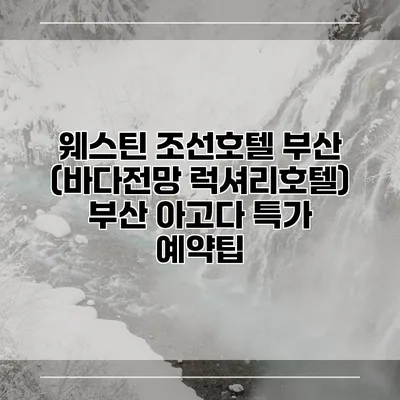 웨스틴 조선호텔 부산 (바다전망 럭셔리호텔) 부산 아고다 특가 예약팁