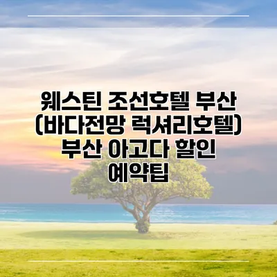 웨스틴 조선호텔 부산 (바다전망 럭셔리호텔) 부산 아고다 할인 예약팁