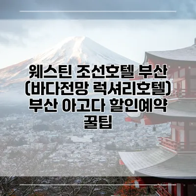 웨스틴 조선호텔 부산 (바다전망 럭셔리호텔) 부산 아고다 할인예약 꿀팁