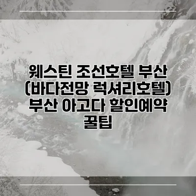 웨스틴 조선호텔 부산 (바다전망 럭셔리호텔) 부산 아고다 할인예약 꿀팁