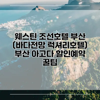 웨스틴 조선호텔 부산 (바다전망 럭셔리호텔) 부산 아고다 할인예약 꿀팁