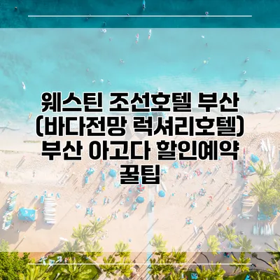 웨스틴 조선호텔 부산 (바다전망 럭셔리호텔) 부산 아고다 할인예약 꿀팁