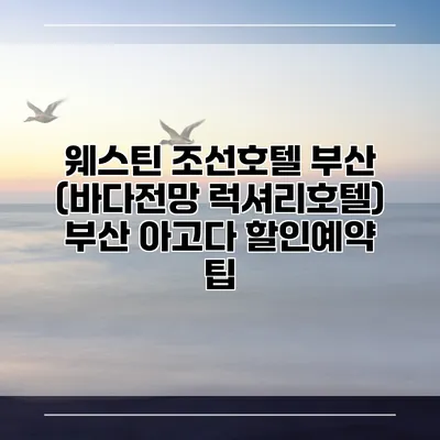 웨스틴 조선호텔 부산 (바다전망 럭셔리호텔) 부산 아고다 할인예약 팁