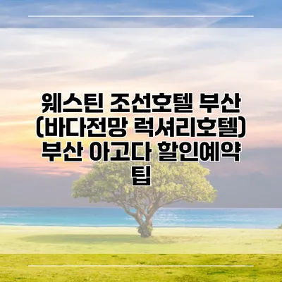 웨스틴 조선호텔 부산 (바다전망 럭셔리호텔) 부산 아고다 할인예약 팁