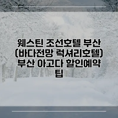 웨스틴 조선호텔 부산 (바다전망 럭셔리호텔) 부산 아고다 할인예약 팁