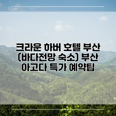 크라운 하버 호텔 부산 (바다전망 숙소) 부산 아고다 특가 예약팁