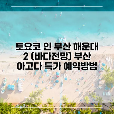 토요코 인 부산 해운대 2 (바다전망) 부산 아고다 특가 예약방법