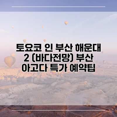 토요코 인 부산 해운대 2 (바다전망) 부산 아고다 특가 예약팁