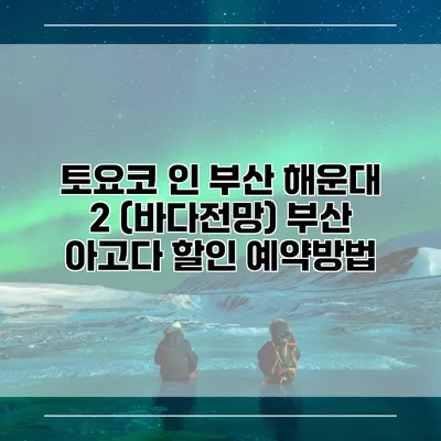 토요코 인 부산 해운대 2 (바다전망) 부산 아고다 할인 예약방법