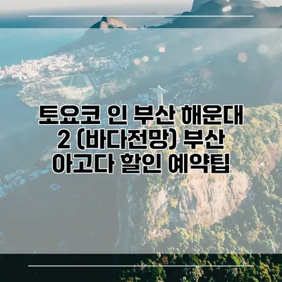 토요코 인 부산 해운대 2 (바다전망) 부산 아고다 할인 예약팁