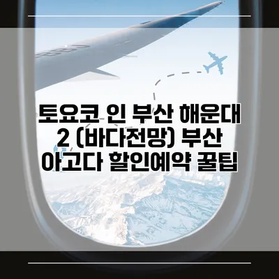 토요코 인 부산 해운대 2 (바다전망) 부산 아고다 할인예약 꿀팁