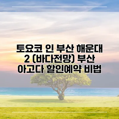 토요코 인 부산 해운대 2 (바다전망) 부산 아고다 할인예약 비법
