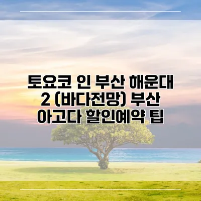 토요코 인 부산 해운대 2 (바다전망) 부산 아고다 할인예약 팁
