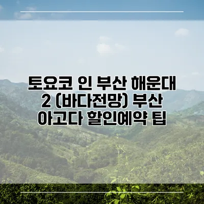 토요코 인 부산 해운대 2 (바다전망) 부산 아고다 할인예약 팁