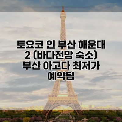 토요코 인 부산 해운대 2 (바다전망 숙소) 부산 아고다 최저가 예약팁