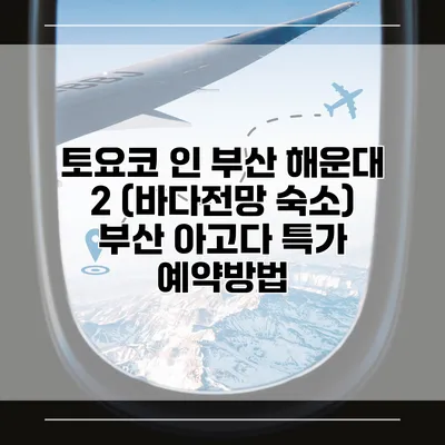 토요코 인 부산 해운대 2 (바다전망 숙소) 부산 아고다 특가 예약방법