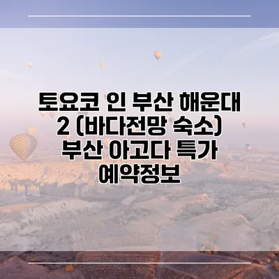 토요코 인 부산 해운대 2 (바다전망 숙소) 부산 아고다 특가 예약정보