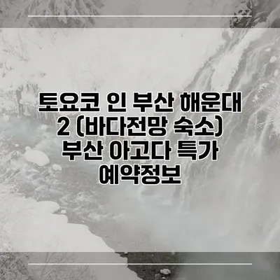 토요코 인 부산 해운대 2 (바다전망 숙소) 부산 아고다 특가 예약정보