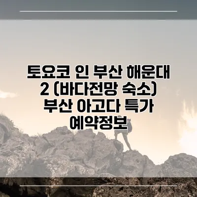 토요코 인 부산 해운대 2 (바다전망 숙소) 부산 아고다 특가 예약정보