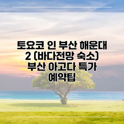 토요코 인 부산 해운대 2 (바다전망 숙소) 부산 아고다 특가 예약팁