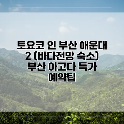 토요코 인 부산 해운대 2 (바다전망 숙소) 부산 아고다 특가 예약팁