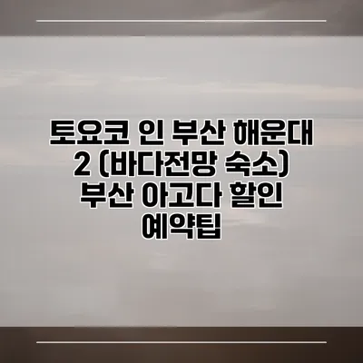 토요코 인 부산 해운대 2 (바다전망 숙소) 부산 아고다 할인 예약팁