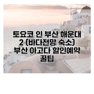 토요코 인 부산 해운대 2 (바다전망 숙소) 부산 아고다 할인예약 꿀팁