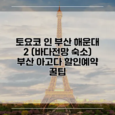 토요코 인 부산 해운대 2 (바다전망 숙소) 부산 아고다 할인예약 꿀팁