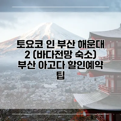 토요코 인 부산 해운대 2 (바다전망 숙소) 부산 아고다 할인예약 팁