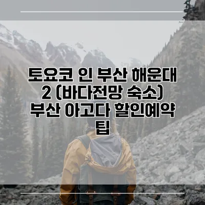 토요코 인 부산 해운대 2 (바다전망 숙소) 부산 아고다 할인예약 팁