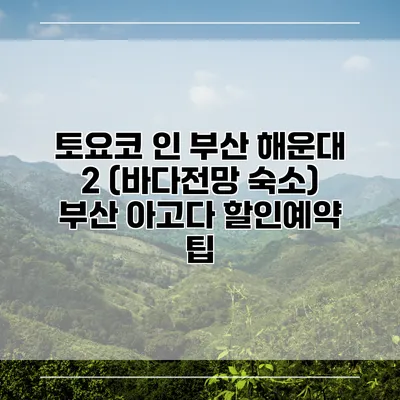토요코 인 부산 해운대 2 (바다전망 숙소) 부산 아고다 할인예약 팁