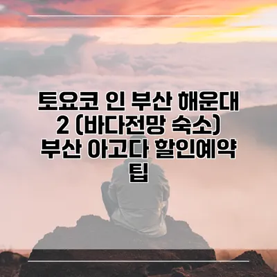 토요코 인 부산 해운대 2 (바다전망 숙소) 부산 아고다 할인예약 팁