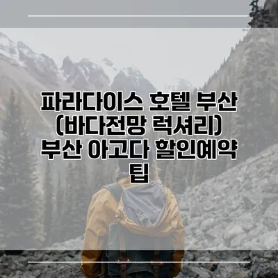 파라다이스 호텔 부산 (바다전망 럭셔리) 부산 아고다 할인예약 팁